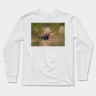 Moose in rut - Algonquin Park, Canada Long Sleeve T-Shirt